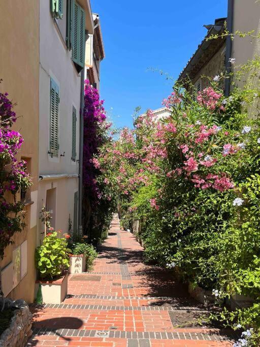 Moringa - New Unit For 2 Ac Close To Beach Antibes Kültér fotó